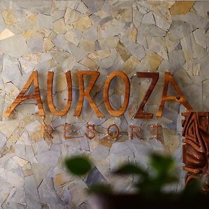 Aurora Resort